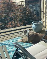 John Bircher (@jbircher30) • Instagram photos and videos