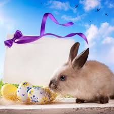 Avem 1 stiri despre iepurasul de paste. Iepurasul De Paste Kudika Filme De Paste La Ce Sa Te Uiti De Sarbatori