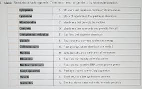 We did not find results for: What Is The Difference Between Prokaryotic And Eukaryotic Cells Brainly