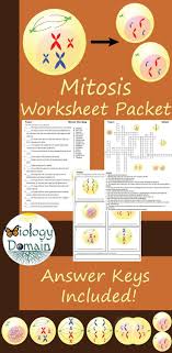 11 4 meiosis worksheet answer key. Comparing Mitosis And Meiosis Worksheet Answers Pdf