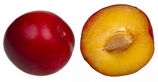 When there is an abundance of fruit in season, it is tough to decide what to turn into a crisp, crumble, cobbler or pie. Apricot Vs Plum What S The Difference Ask Difference