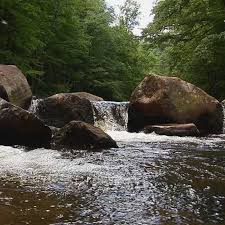 Check spelling or type a new query. Traveling Wv Otter Creek Wilderness Wchs