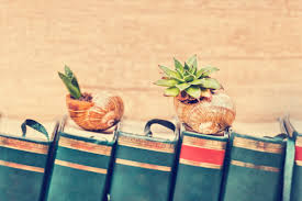How to do succulent garden. How To Make A Succulent Garden Fantastic Gardeners Blog