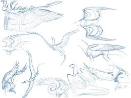 It shares this trait with the applin evolutionary family. Dragon Feathered Wing Tutorial By Nakaseart On Deviantart Dragon Sketch Dragon Anatomy Drawings