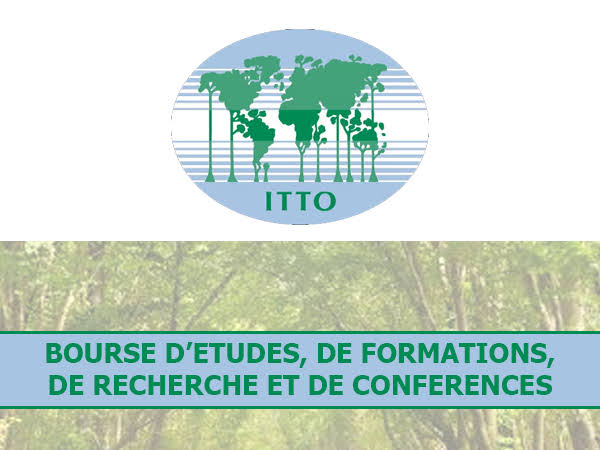 Bourse ITTO 2026 jusqu'à 10 000 USD pour Sénégalais - Bourses d'études