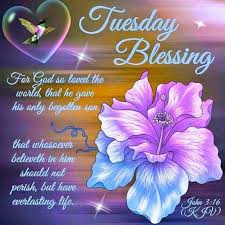 We did not find results for: Inspiration Good Morning Tuesday Blessings For Loved Ones