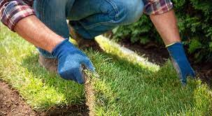 This will help to ensure that all of the plant material is dead down to the roots. How To Prepare Soil For New Turf All Green Nursery