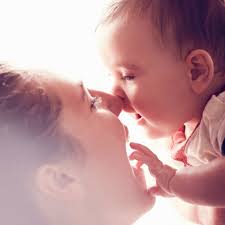 Wade Brewer State Farm Agency