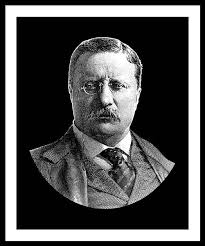 Teddy Roosevelt Framed Art Prints (Page #2 of 21)