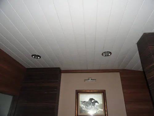 Ceiling Panel