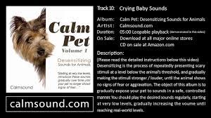 Crying Baby Desensitizing Sounds For Dogs Cats And Other Animals Youtube