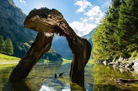 Oficiální stránky destinace české švýcarsko. Seealpsee Voda Priroda Fotografie Zdarma Na Pixabay