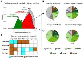Professional solutions for your personal space. Jof Free Full Text Effectors With Different Gears Divergence Of Ustilago Maydis Effector Genes Is Associated With Their Temporal Expression Pattern During Plant Infection Html