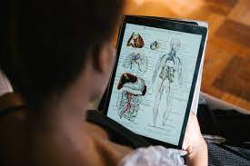 Don't ask questions that are too basic or common knowledge. Anatomy Trivia 30 Questions About The Gross Coolest And Craziest Facts About The Human Body
