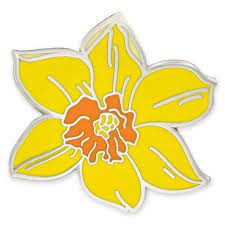 Daffodil Lapel Pin Daffodil Flower Yellow Daffodils Enamel Lapel Pin