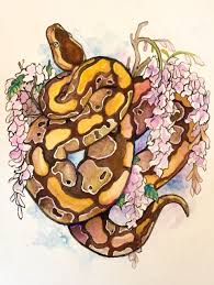 Tumblr Snake Drawing Snake Art Snake Painting