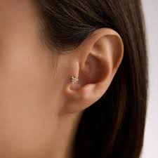Image result for Tragus koelerioides