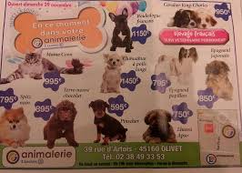 Une Honte Le Magasin Leclerc D Olivet Fait Une Promo Sur Les Chiots Avant Noel
