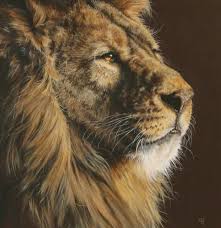 Gina Hawkshaw Wild Cats Animal Art Animals