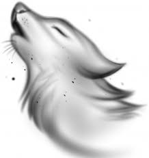 How To Draw A Wolf Spirit Step 6 Drawings Wolf Drawing Cool Paintings