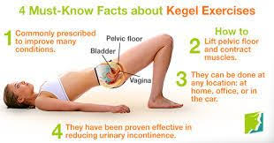 5 Best Exercises For Women With An Overactive Bladder Kegel Exercise Pelvic Floor Kegal Exercises