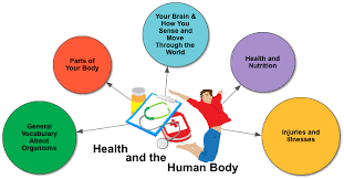 Look at the underlined words and choose the correct synonym: Human Body And Health Worksheet For Class 5 Mycbseguide Cbse Papers Ncert Solutions