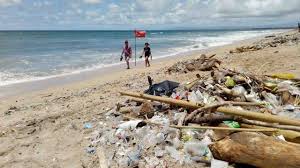Pengurusan alam sekitar di barat bermula pada akhir kurun ke 19 kesan daripada revolusi industri. Dampak Negatif Pembangunan Desa Wisata Desa Bisa