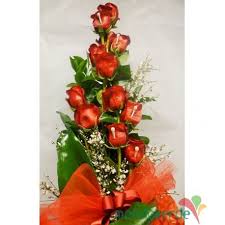 Il rosso intenso delle rose e il loro profumo avvolgeranno chi riceverà questo magnifico bouquet! Mondoverde 12 Rose Rosse Gambo Lungo