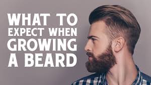 More than 4000 beard brush vs comb at pleasant prices up to 37 usd fast and free worldwide shipping! Beard Brush Vs Beard Comb What S The Right Choice For You Wild Willies