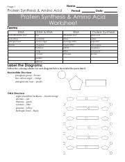 By the way, concerning protein synthesis worksheet answers pdf, we already collected several similar pictures to complete your references. Chapter 6 Review Protein Synthesis Answer Key Pdf Name Answer Key Page 1 Protein Synthesis Amino Acid Protein Synthesis Amino Acid Worksheet Terms Dna Course Hero