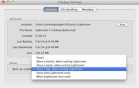 Hopefully the video i posted (see above) helps to clear things up and gives you a good idea of how i keep my catalogs backed up and off my main hard drive in a safe. How To Backup Your Lightroom Catalog Pretty Presets For Lightroom