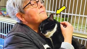 Kittens Do Things For The First Time