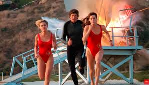 More images for alerte a malibu david hasselhoff personnage » Alerte A Malibu 12 Trucs Que Vous N Avez Jamais Su