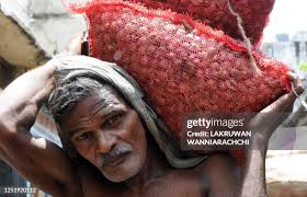 3,120 Will Porter Stock Photos, High-Res Pictures, and Images