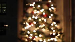 Planning to buy dvds but still beating your brains out to pick the. 5 000 Best Christmas Videos 100 Free Download Pexels Stock Videos