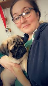 Meet our newest family member Hazel! After losing our 15yo girl in April we  knew we needed the joy of a new pug in our lives!💖