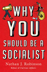 Why You Should Be A Socialist Robinson Nathan J 9781250200860 Amazon Com Books