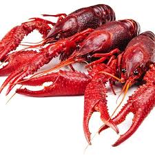 Crawfish For Sale Buy Live Crawfish Cajun Meats And Turduckens Online Live Crawfish Louisiana Crawfish Crawfish