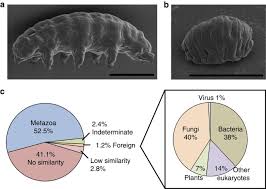 These may involve higher resolution, higher speed of data acquisition. Extremotolerant Tardigrade Genome And Improved Radiotolerance Of Human Cultured Cells By Tardigrade Unique Protein Nature Communications