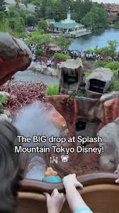 Splash Mountain Tokyo Disney: The Ultimate Ride Experience