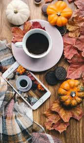 We did not find results for: Autumn Wallpapers Free Hd Download 500 Hq Unsplash