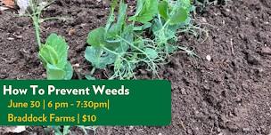 Weeding: How to prevent weeds and Manage the ones...