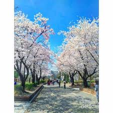 Sebelum manggung, girlband asal korea selatan itzy adakan jumpa pers. Taman Rekreasi Gratis Di Korea Selatan