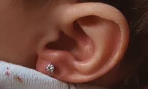 693 n orange ave ste 200, orlando, fl. Black Bunny Pierce Ink Studio Canoga Park Book Online Prices Reviews Photos