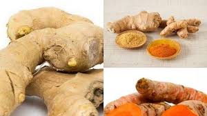 Halo kali ini saya membuat jamu kunir madu atau jamu kunyit madu. Rahasia Bugar Jokowi Rajin Minum Campuran Temu Lawak Jahe Kunyit Murah Hasil Maksimal Halaman All Tribun Batam