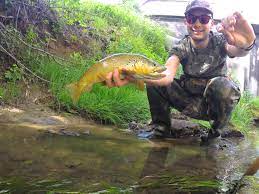 Pourquoi choisir une canne à pêche spéciale truite ? 8 Conseils Pour Trouver Des Rivieres A Truites Peche Et Sac A Dos