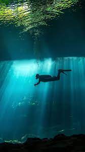 Maybe you would like to learn more about one of these? 30 Aquarium With Diver Wallpapers On Wallpapersafari