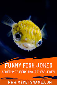 Funny Fish Jokes Fishing Jokes Fishing Humor Fish
