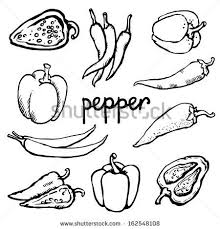 Set Simple Sketch Icon Red Hot Chili Peppers And Bell Peppers Black Line Isolated On White Backgroun Stuffed Bell Peppers Stuffed Peppers Red Hot Chili Peppers