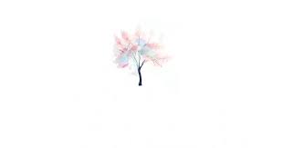 Pin On Wallpapers